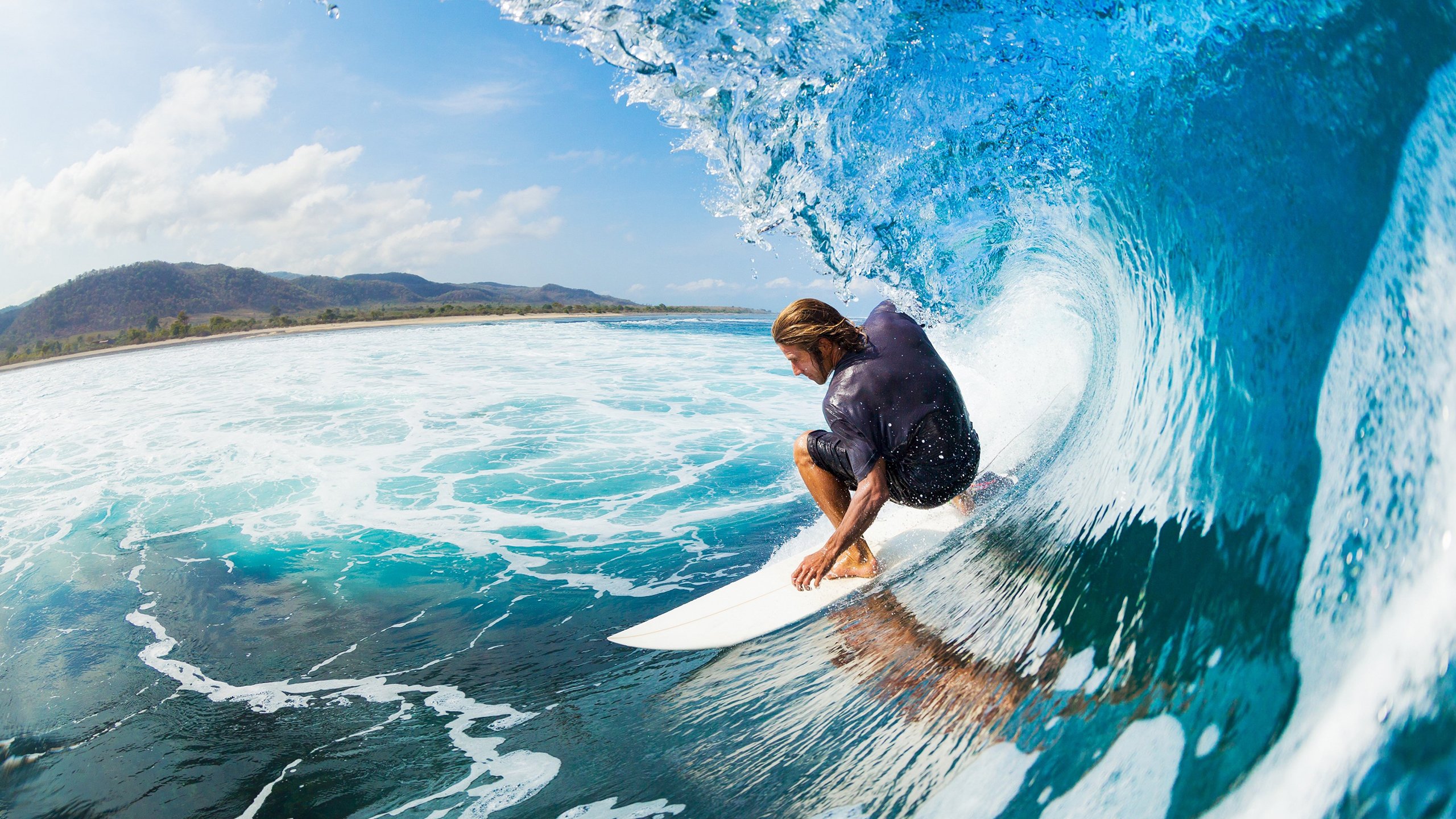 瑞士马术协会建立马匹基因数据库，促进马匹选育与训练。，瑞士骑马